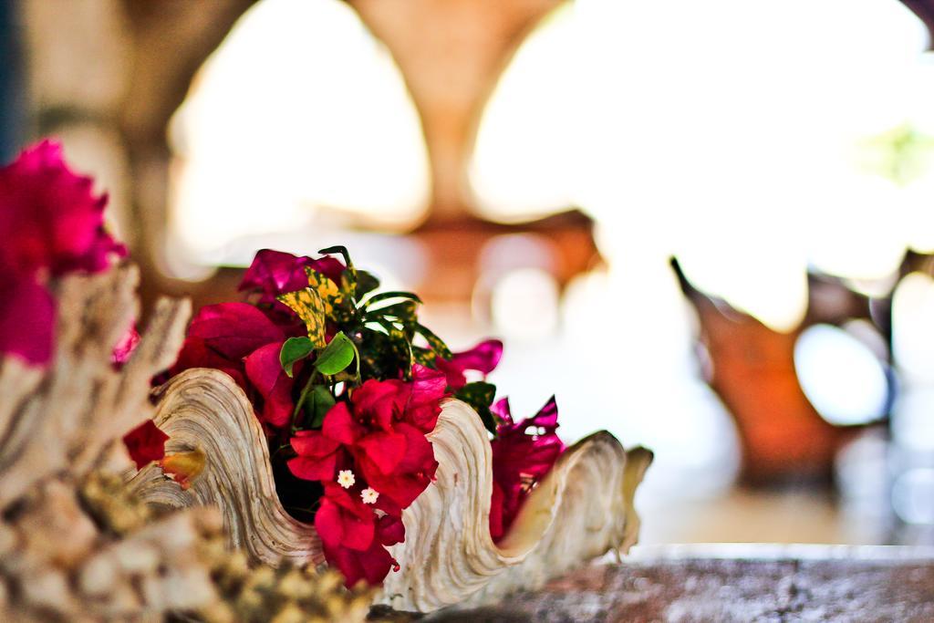 Palumbokendwa Hotel Zanzibar Ngoại thất bức ảnh
